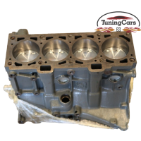 Блок цилиндров 11189 (в сборе) для автомобиля с МКПП Франция